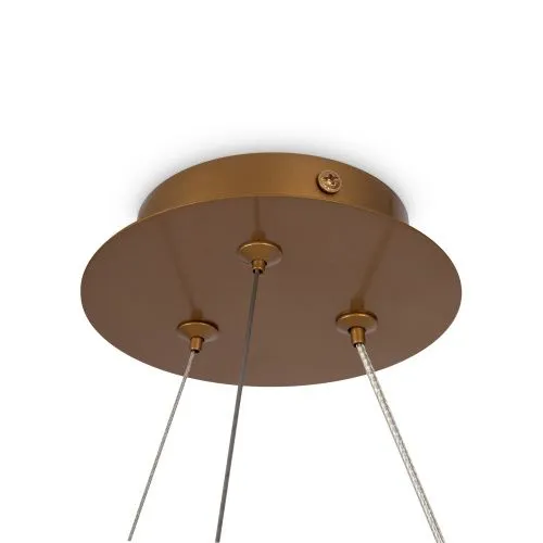 Подвесная люстра Maytoni Balance MOD317PL-04G  фото 6