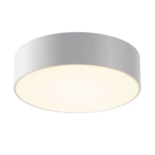 Потолочный светильник Outdoor O431CL-L30W3K 
